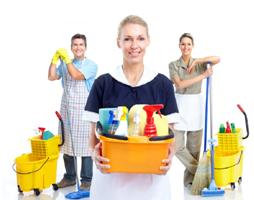 Cleaning Services Toronto Pro - Toronto, ON M5S 2B2 - (647)496-4321 | ShowMeLocal.com